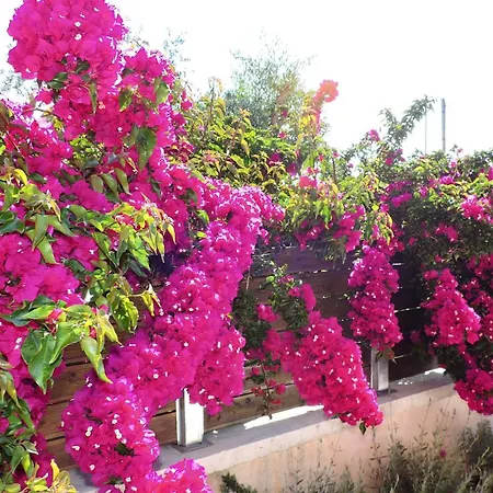 Lime House Corfu Вилла Potamos (Corfu)